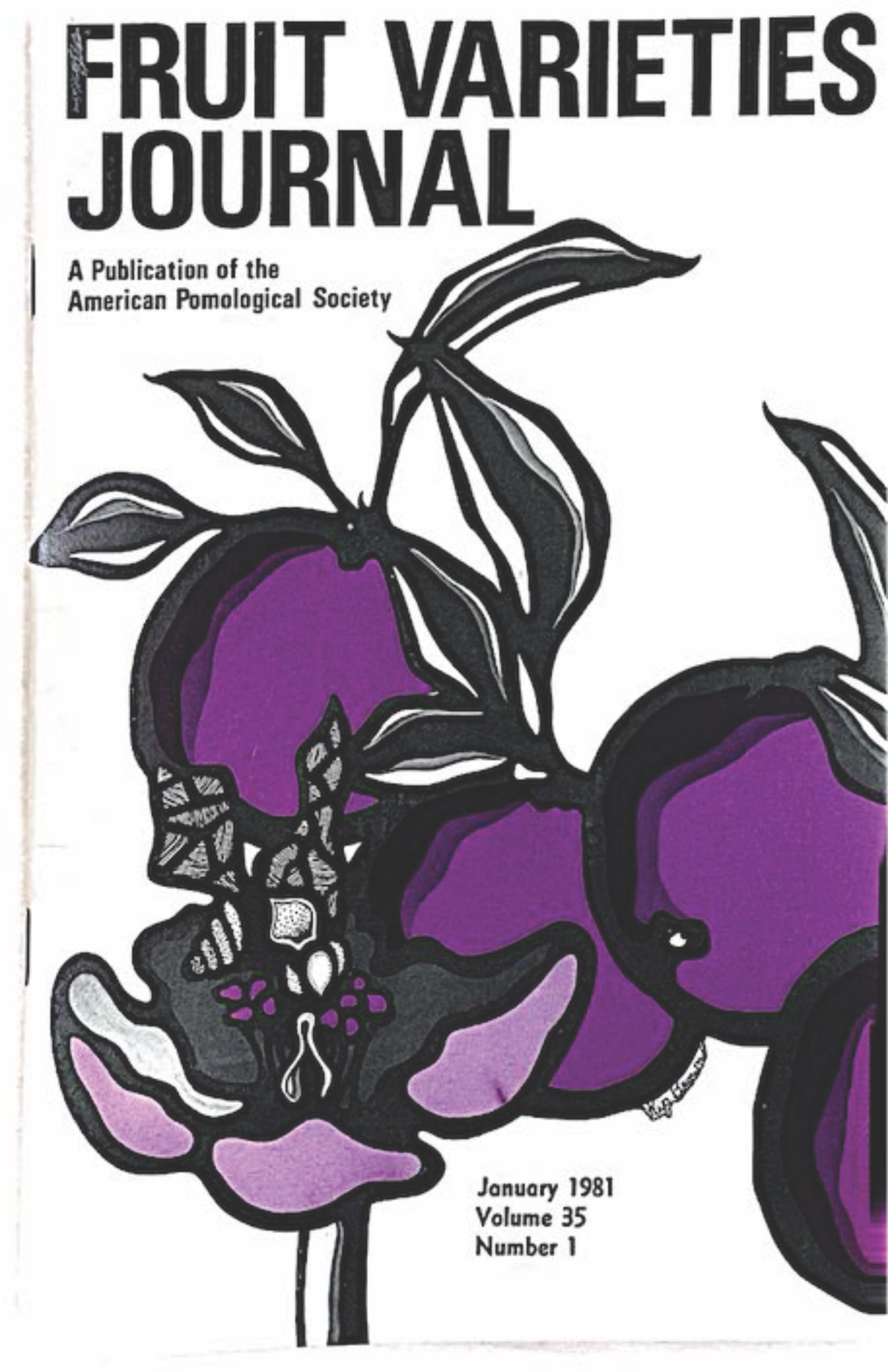 					View Vol. 35 No. 1 (1981)
				