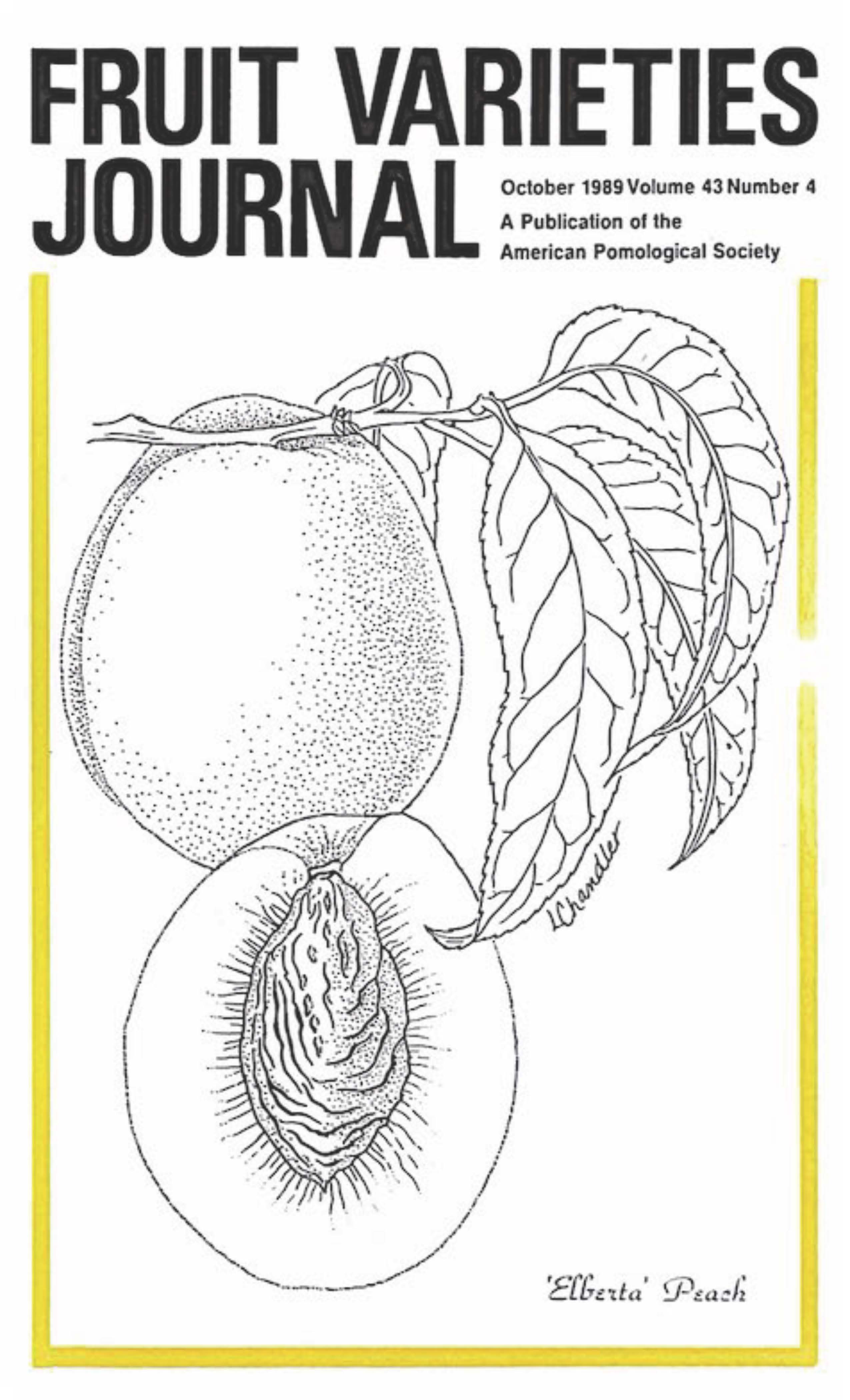 					View Vol. 43 No. 4 (1989)
				