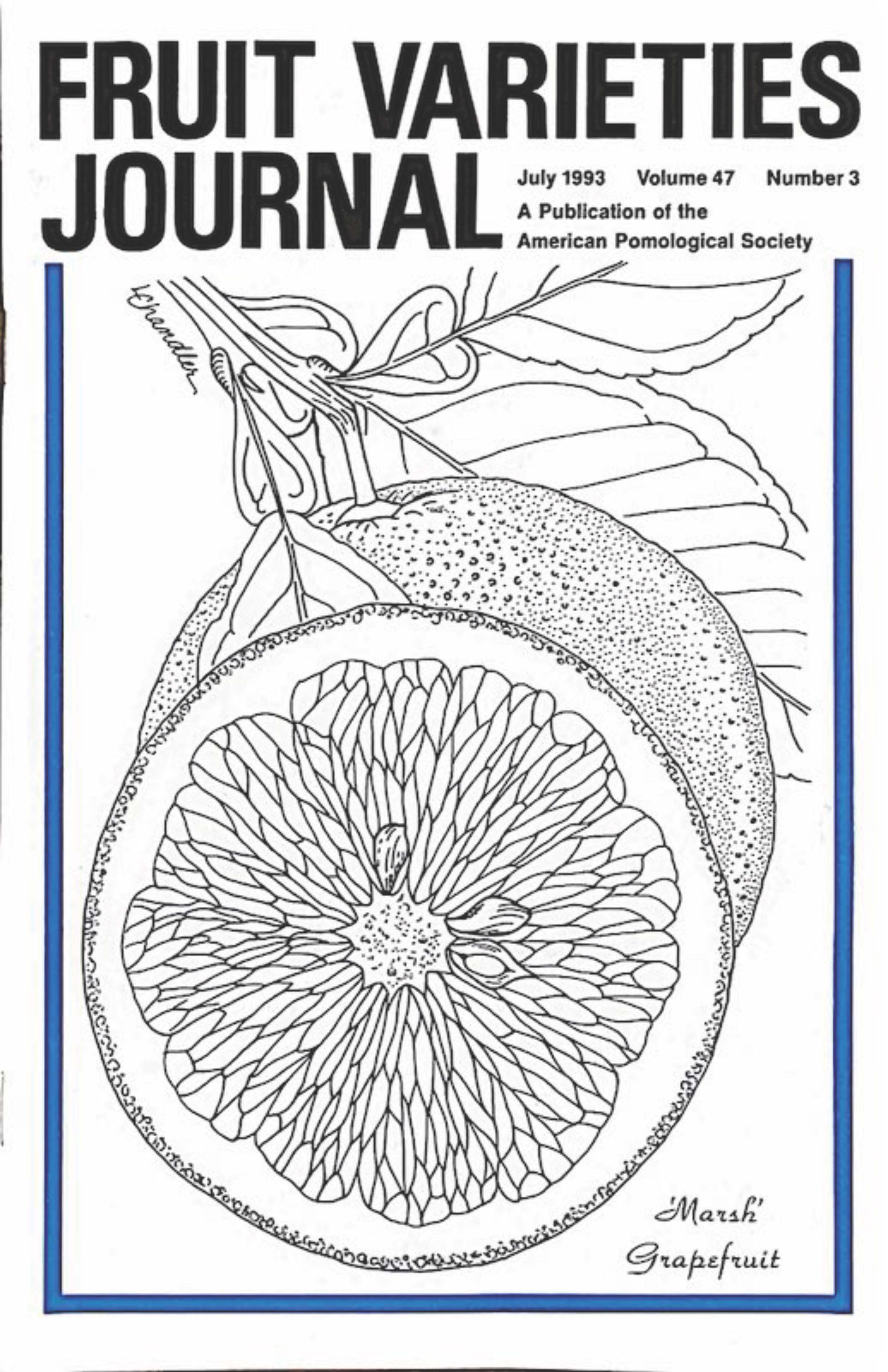 					View Vol. 47 No. 3 (1993)
				