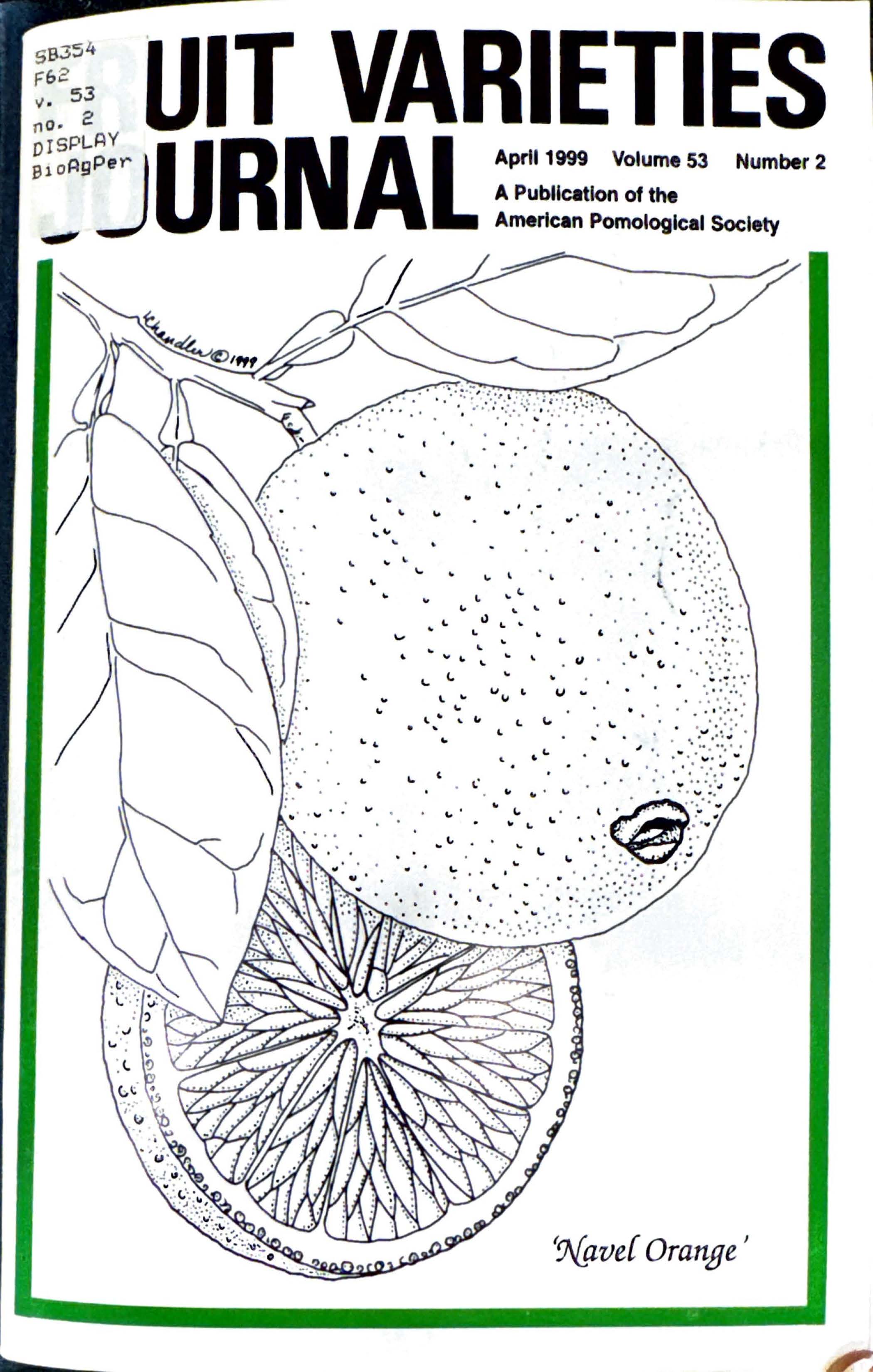 					View Vol. 53 No. 2 (1999)
				