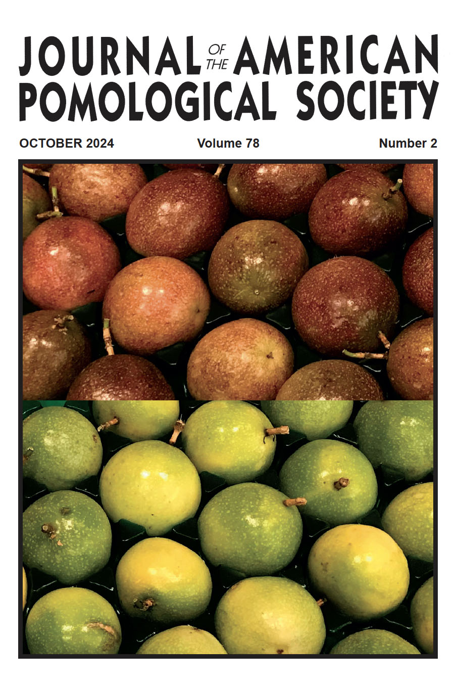 Picture of purple passionfruit on top of another photo of yellow passionfruit.
