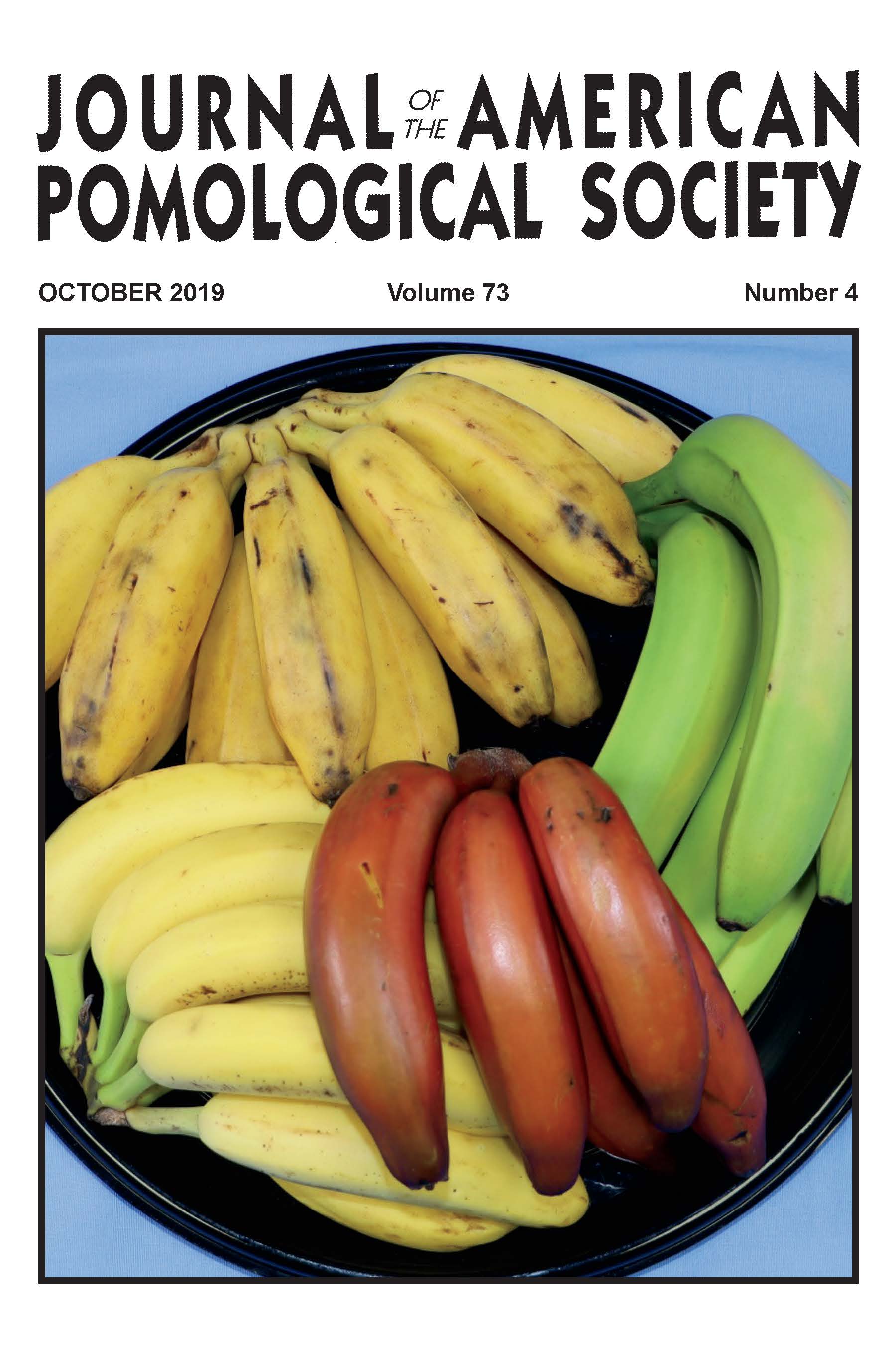 					View Vol. 73 No. 4 (2019)
				