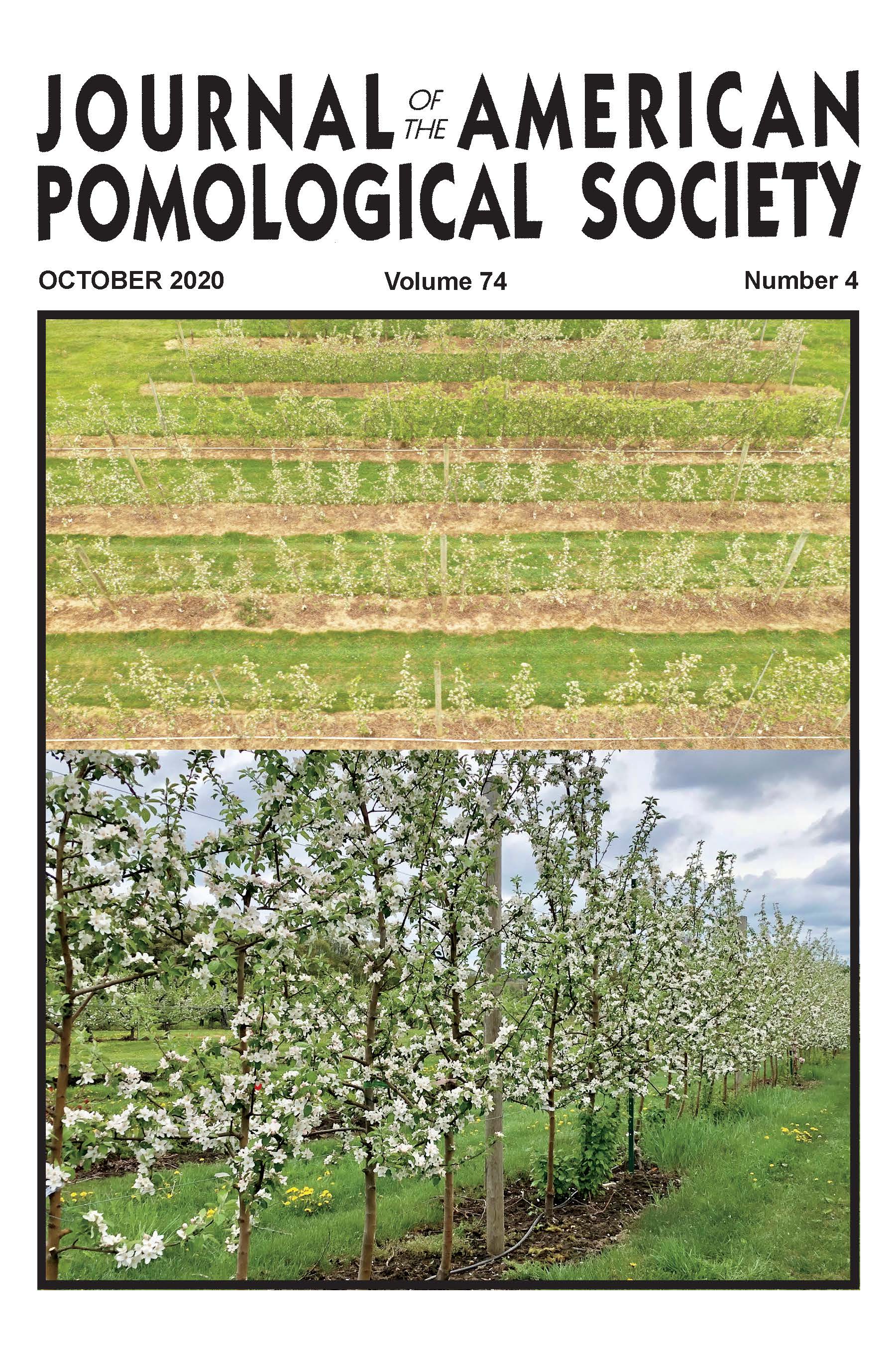 					View Vol. 74 No. 4 (2020)
				