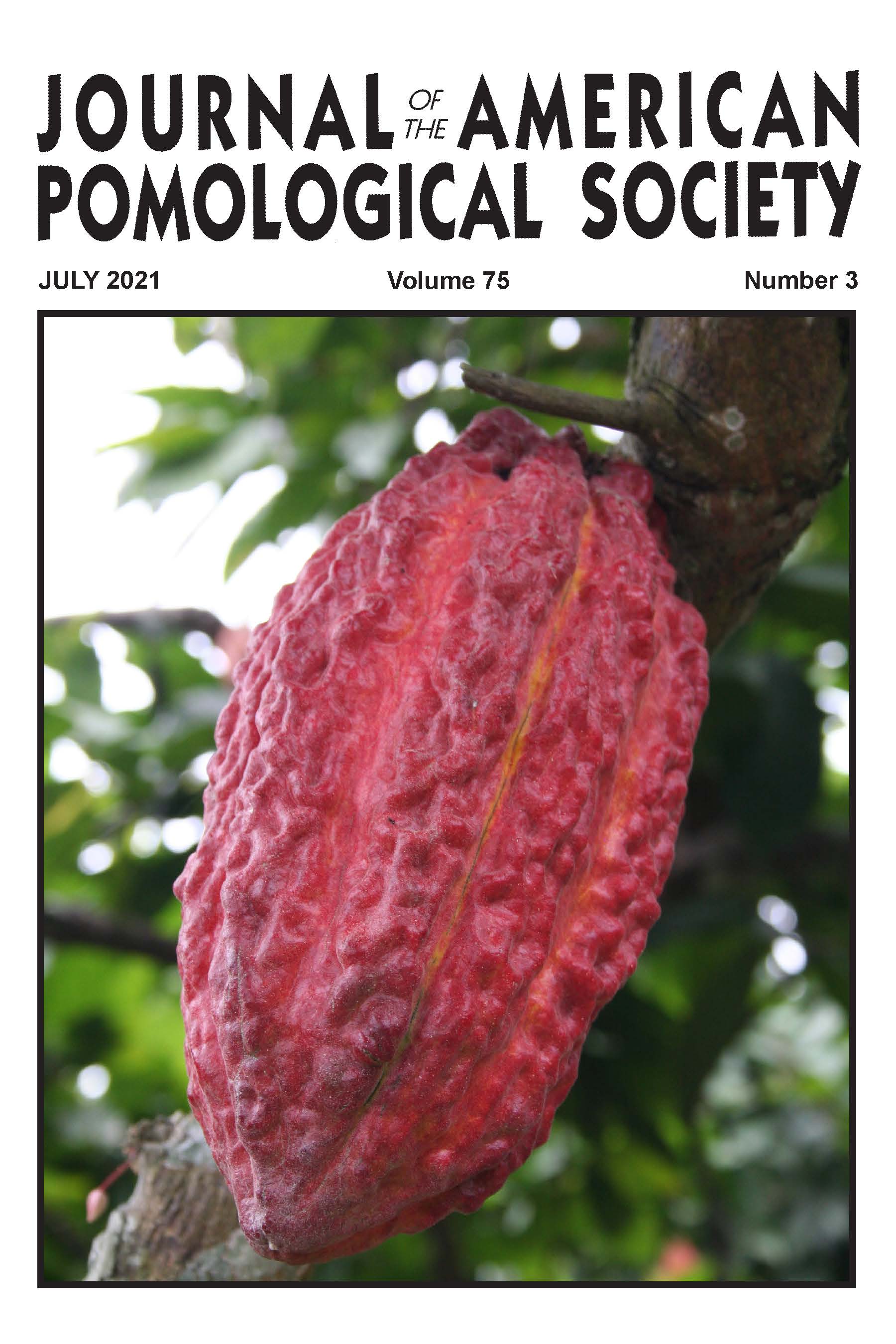 					View Vol. 75 No. 3 (2021)
				