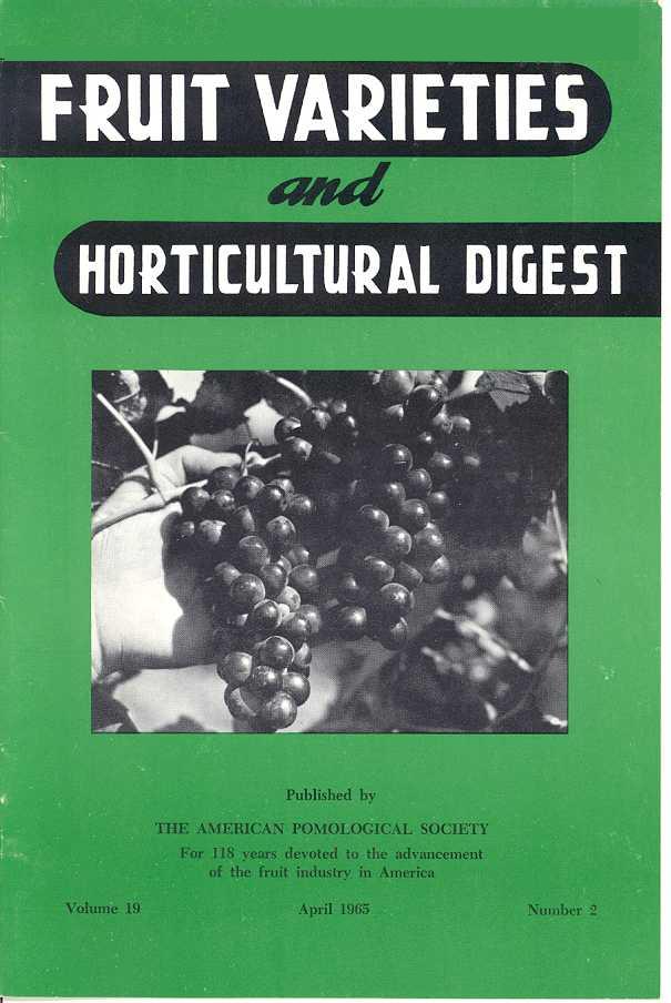 					View Vol. 19 No. 2 (1965)
				